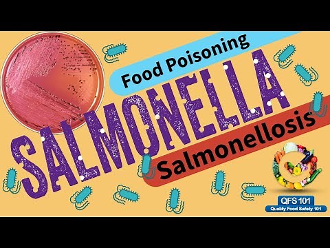 Salmonella Full Details - Symptoms, Spread, Controls