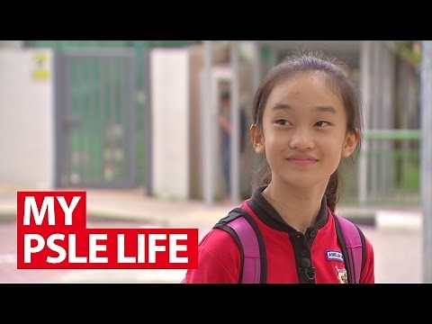 My PSLE Life | Talking Point | CNA Insider