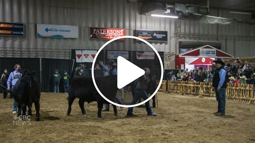 Measles vaccinations offered at Brandon Winter Fair booth - NewsBreak