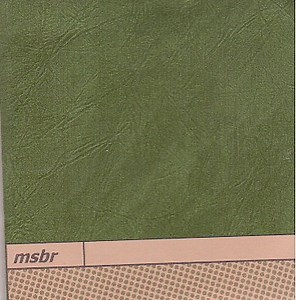 MSBR - Space Lab Green