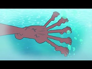 Zig & Sharko ✨ SEASON 3 EPISODES in HD 🦵 BERNIE GOES ALL IN