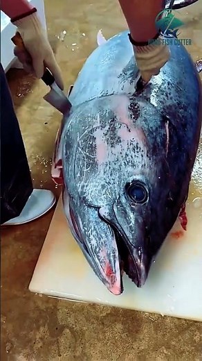 🇨🇳 Inside China’s Tuna World - Satisfying! Tuna Cutting Show From Chinese Factory 🍣 #seafood #tuna