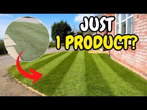 How to Get a Dark Green Lawn (You Only Need This)