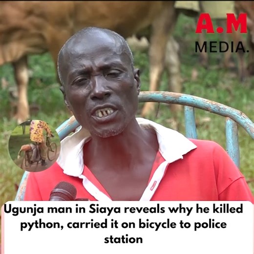 Ugunja man in Siaya who killed python after killing his dog, carrying it on bicycle to Police Station speaks, reveals what happened. | A.M Media