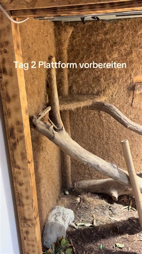 Tag 2: Plattform für die Leguan-Haltung vorbereiten