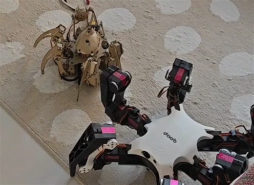 表演个绝活，只活20秒，老机器人 六足机器人测试20240710