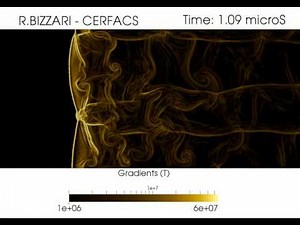 2D simulation of a detonation.