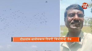 31K views · 401 reactions | Goa's Natural Haven: A Celebration of Biodiversity and Scenic Landscapes || GOA365 TV | Goa365 TV | Facebook