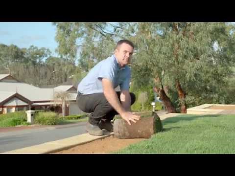 Paul Munns - How to install instant lawn