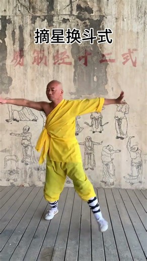 #Yijin Jing#The Twelve Forms of the Yi Jin Jing#Xisui Gong