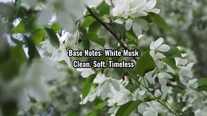 Aromadd White Tea Diffuser Oil Inspired by Luxury Hotel Scent, Essential Oils for Waterless Diffuser, White Tea & Bergamot, Long-Lasting & Natural Home Fragrance - 6.76 fl oz (200 mL)