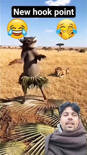 warthog and lion new fact! #animals #wildlife #automobile #lion #memes #funny #servals #fastanimals