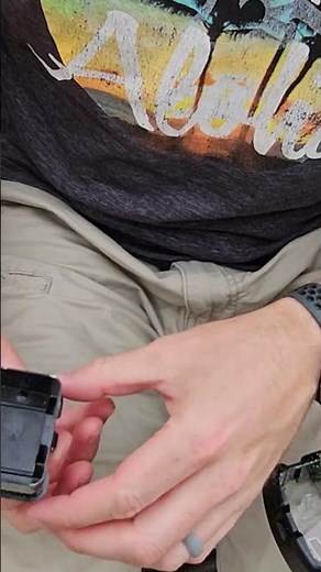 Refill Mouse Bait Stations