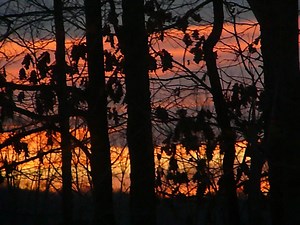 Ames Weather Forecast: Temperatures in the 50s-60s This Week