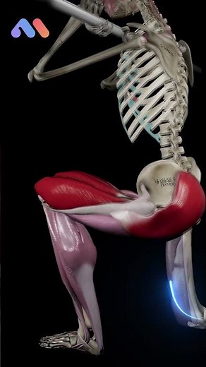 🎥✨ Check out the front-loaded reverse lunge with our latest animation! 💪