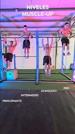 Niveles de MUSCLE UP 📈🚀 De principiante a PRO en 4 pasos✅ #calistenia #muscleup #calisteniaencasa