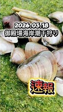 【速報】2026年御殿場海岸潮干狩り！