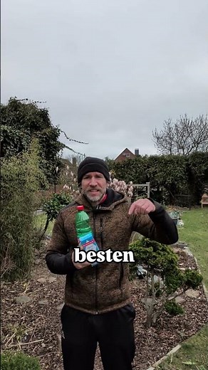 Remove weeds with salt and vinegar
