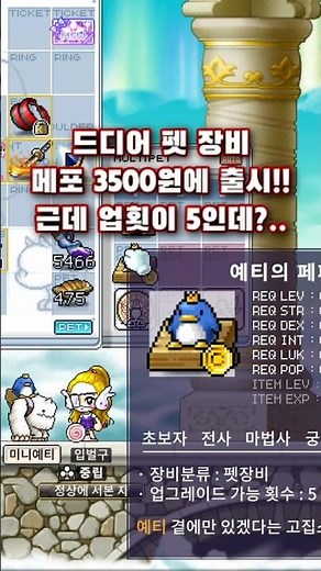 메이플플래닛 펫장비 출시!!