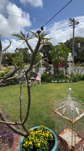 Heritage Home Adult Devonshire Tea House. Inglewood WA THURSDAY-SATURDAY MORNINGS BOOKINGS REQUIRED 0419857853 | Heritage Home Adult Devonshire Tea House