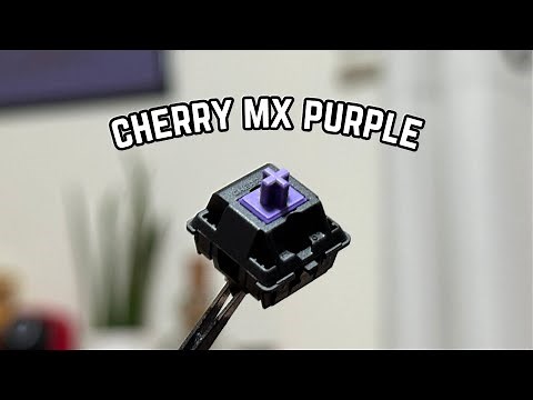 I got the Glarses Switches | Cherry MX Purple Review + Sound Test + LUBED #switches