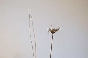 Project Overview ‹ Hybrid Sculptures – MIT Media Lab