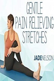 Watch Gentle Pain Relieving Stretches Season 1 Episode 4 - Beach Meditation