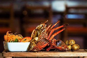 La exquisita langosta de Galápagos