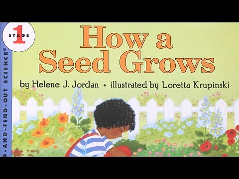 How a Seed Grows - Bobby's Backyard - Story Time