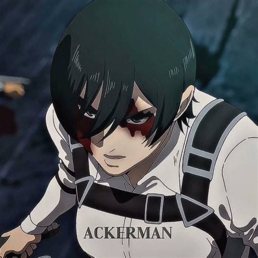 Mikasa Ackerman 🧣