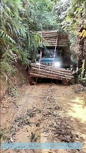 Overloading the Trail: The Unconventional Physics of Mountain Logging