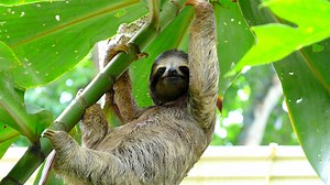 ABC7 Eyewitness News