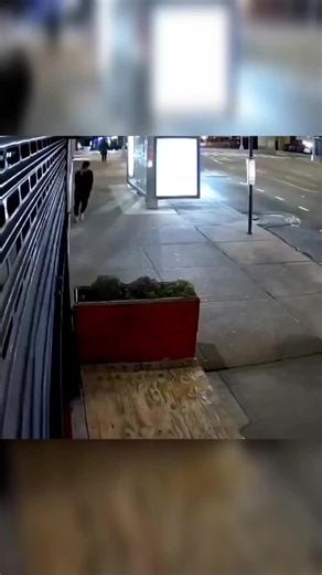 Slipped Before You Could Blink ❄️ #WinterSlip #SlipAndFall #FunnyFalls #CaughtOnCamera #Trending