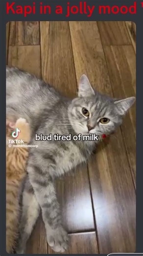 You Laugh You Lose Christmas Dinner #shorts