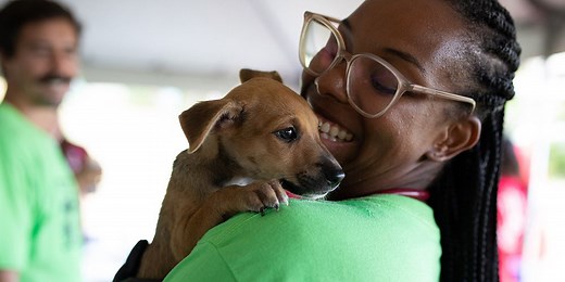 7 Signs You Should Consider a Career in Veterinary Medicine - St. George’s University