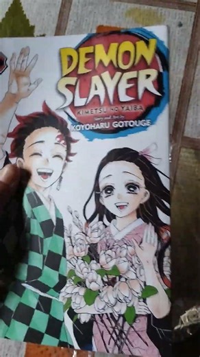 demon slayer volume 22&23