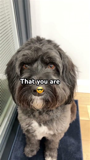 Your friend wants you to know…