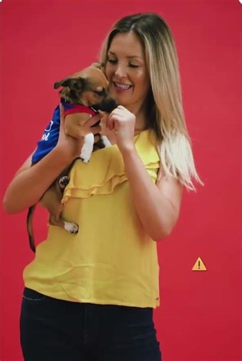 Multipoos your loved ones