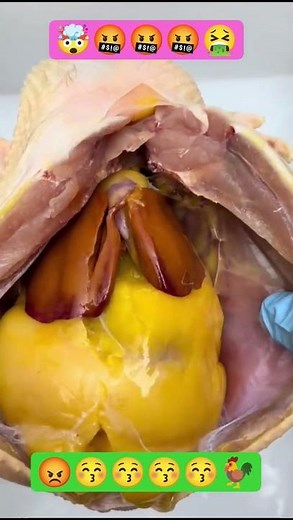 How To Clean & Cut Whole Chicken Like a Pro 🐔🔪 Satisfying ASMR