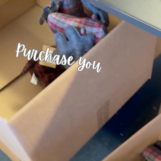 66 reactions | ✨ It’s Time for Day 3 of The After-Bridge Dust-Off...