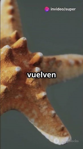 Discover how starfish eat! #funfacts #interestingfacts