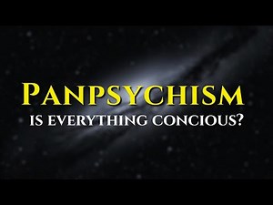The COMPLETE Philosophy Of Panpsychism EXPLAINED
