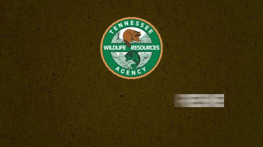 Ready to get your boat back in the water this spring? Renew your registration today. | Tennessee Wildlife Resources Agency