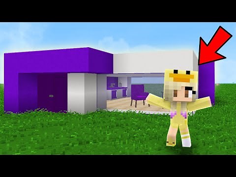 CASA DE LYNITA BEBÉ VS DANI BEBÉ EN MINECRAFT!!
