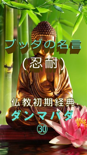 ブッダの名言（ダンマパダ㉚） #shorts #ブッダ #仏教 #仏陀