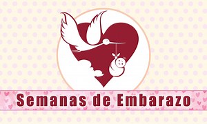 Embarazo de 16 semanas - Semanas del Embarazo - Tu Maternidad