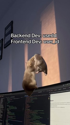 Exploring Development Roles: Frontend vs. Backend
