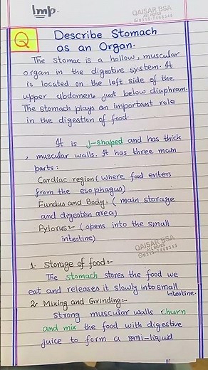 Chemistry Class 11 | Chapter 3 Chemical Bonding | Long Questions & Answers | Smart Syllabus