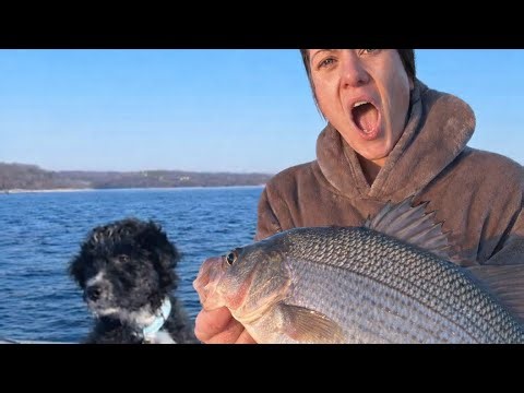 I Caught the Biggest White Bass of My Life!