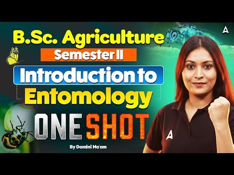 BSc Agriculture 2nd Semester Introduction to Entomology One Shot | By Damini Ma'am